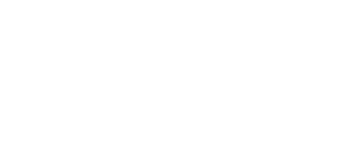 Afro Nation